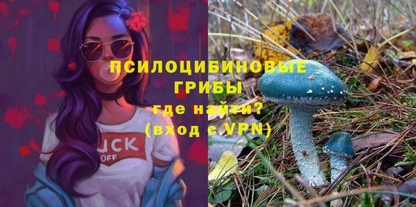 амф Наволоки