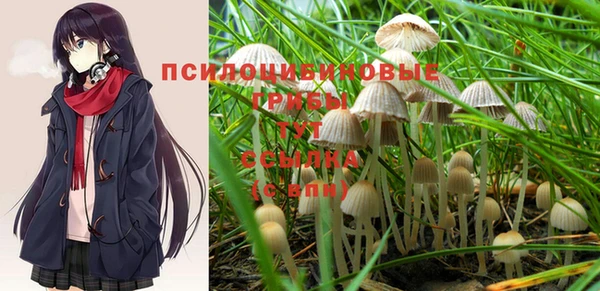 твердый Надым