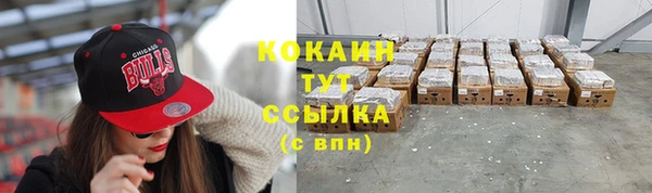 твердый Надым