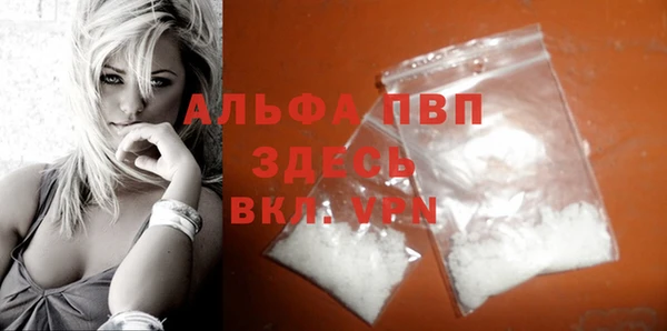 твердый Надым