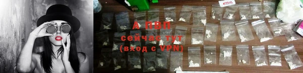 твердый Надым