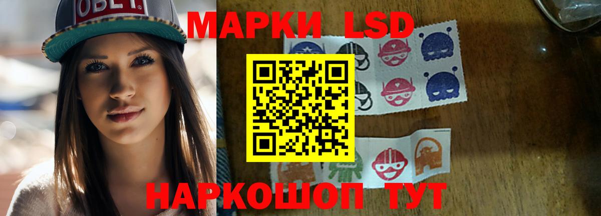 OMG ССЫЛКА  LSD-25 экстази ecstasy  Новозыбков  Лсд 25 экстази  Вход с VPN  ЛСД экстази ecstasy 