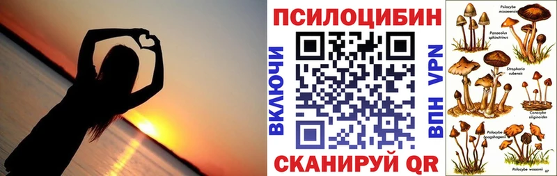 цена наркотик  Новозыбков  Галлюциногенные грибы GOLDEN TEACHER 