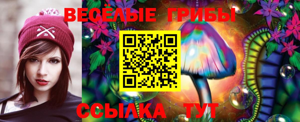 Новозыбков  Галлюциногенные грибы Magic Shrooms  Галлюциногенные грибы прущие грибы  Вход с VPN 