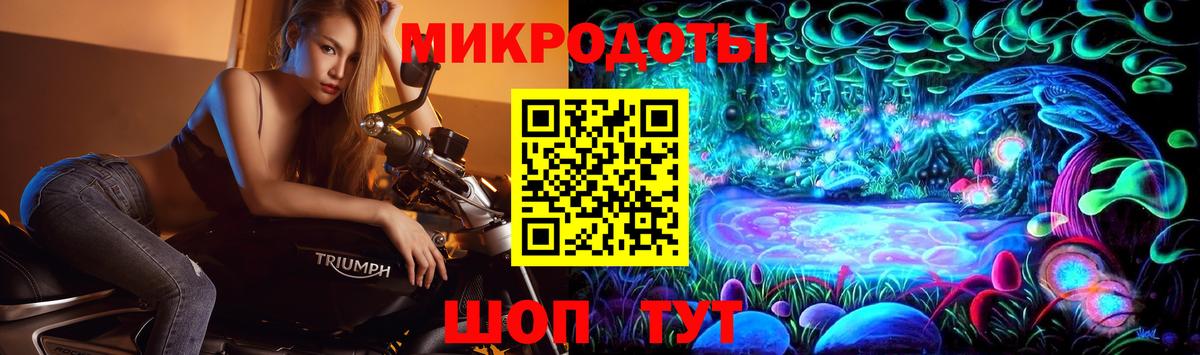 Галлюциногенные грибы прущие грибы Новозыбков