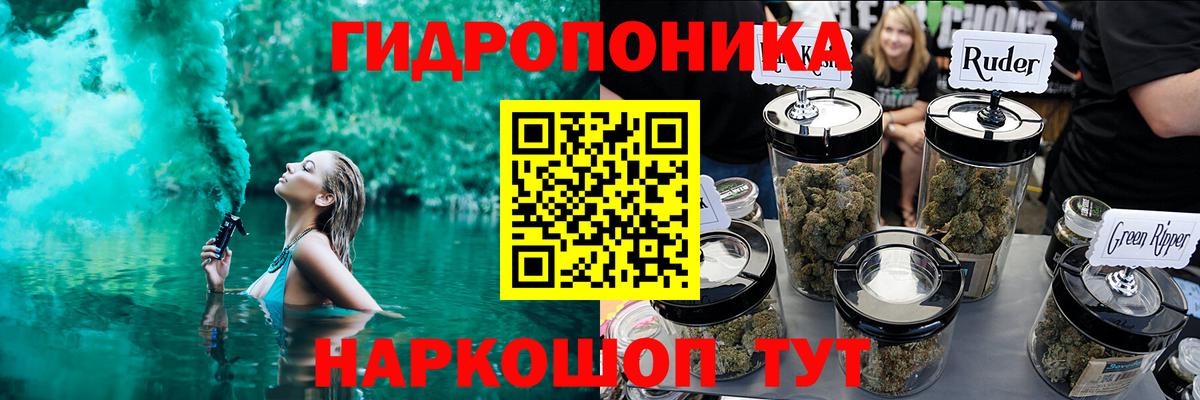 Бошки марихуана MAZAR  Вход с VPN  Новозыбков  Каннабис планчик  Конопля планчик  Каннабис Amnesia 